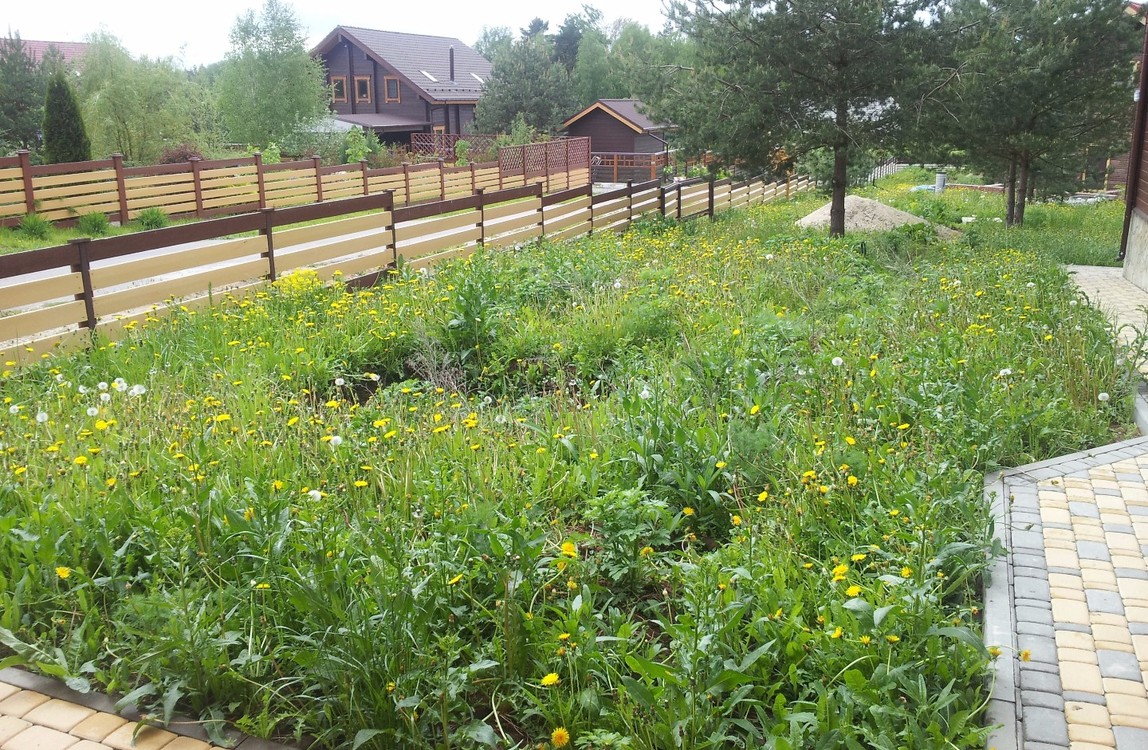 Сухой ручей на склоне перед частным домом - СтройИнвестПроект